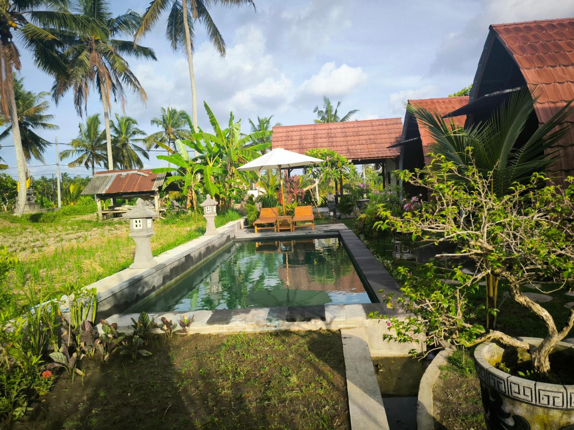 Eling Ubud Guesthouse מראה חיצוני תמונה
